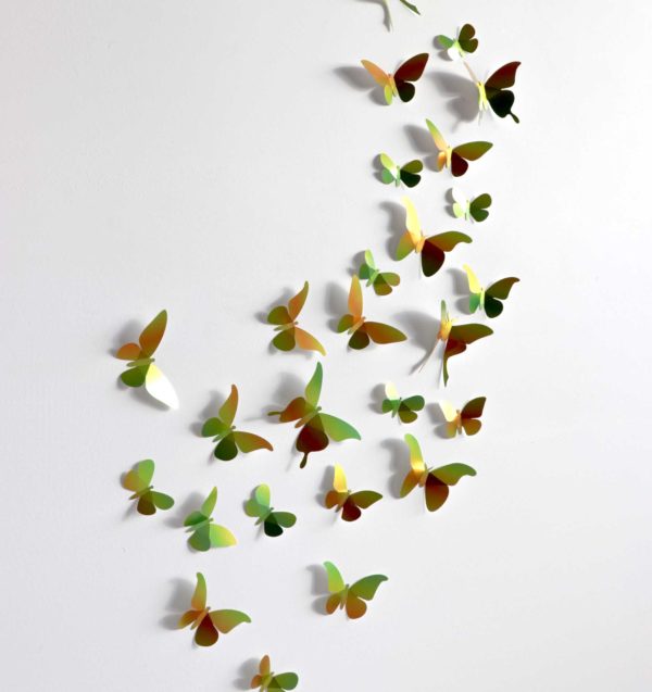 Assembli 3D Paper Collection Butterflies