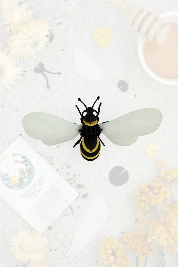 Assembli 3d paper insect honey bee transparent