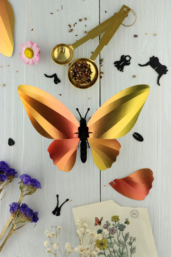 Assembli 3d paper insect birdwing butterfly