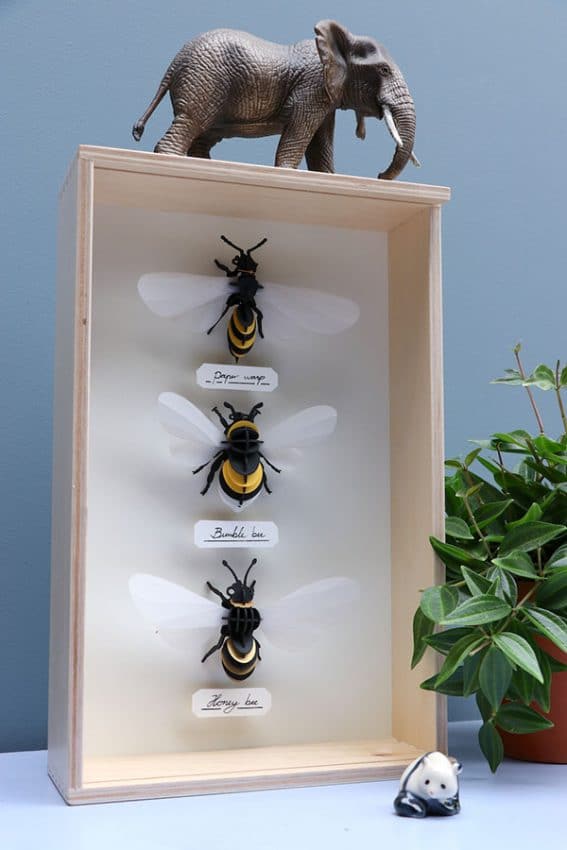Assembli 3D Paper Insect Bee Wasp