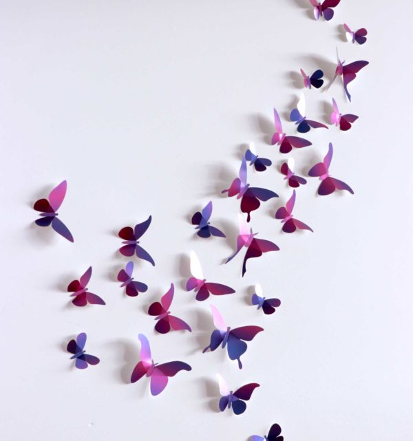 Assembli 3D Paper Collection Butterflies