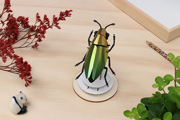 Assembli 3D Paper Insect Jewel Beetle