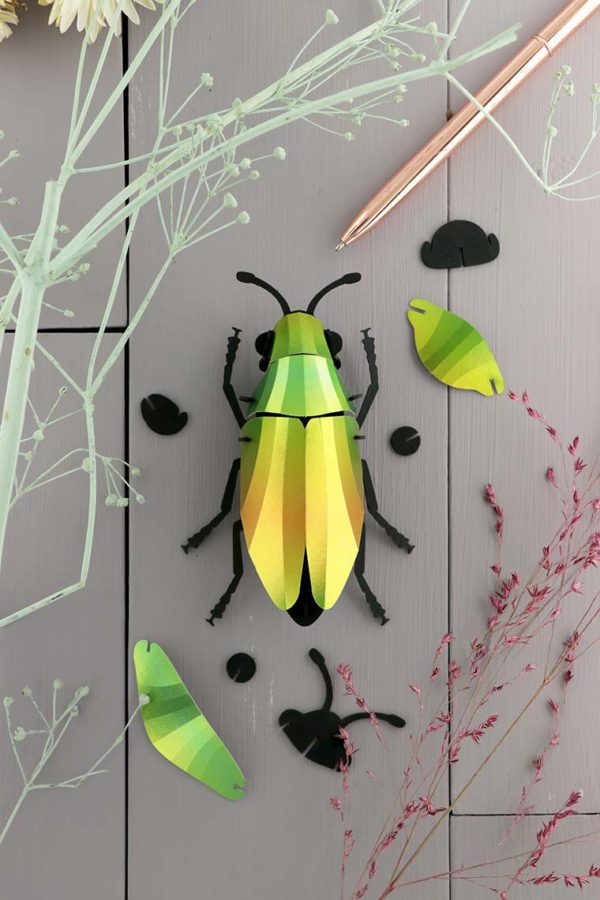 Assembli 3d paper insect jewel beetle mango green