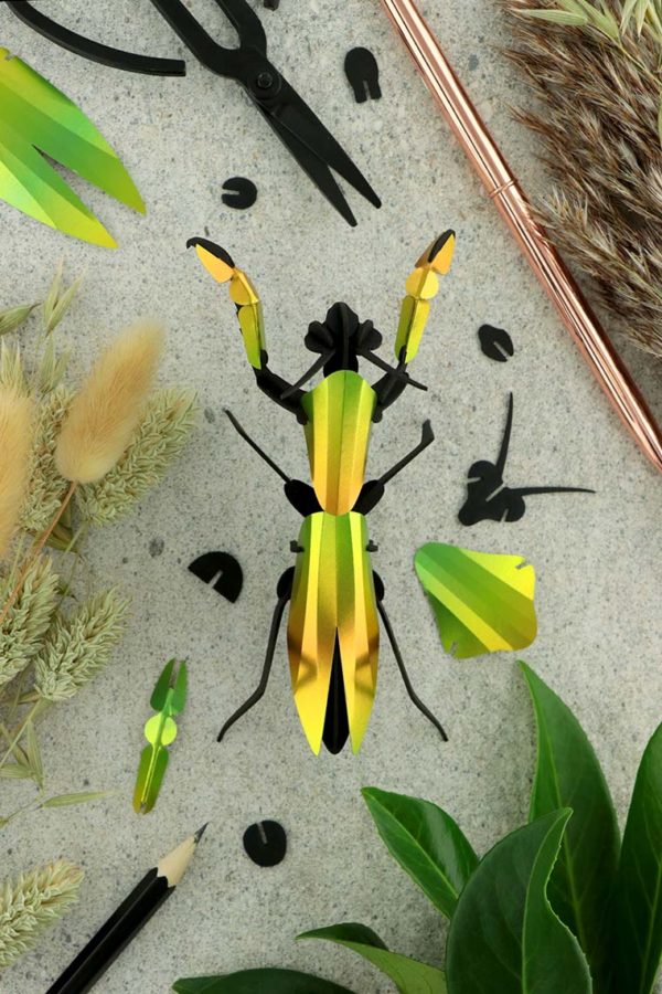 Assembli 3d paper insect praying mantis mango green