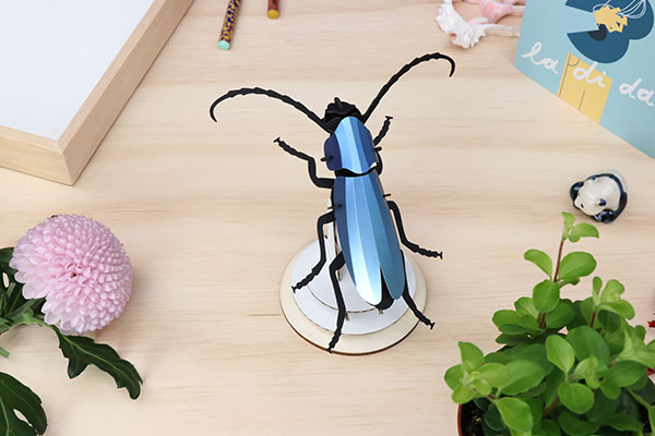 Assembli 3D Paper Insect Rosalia Beetle