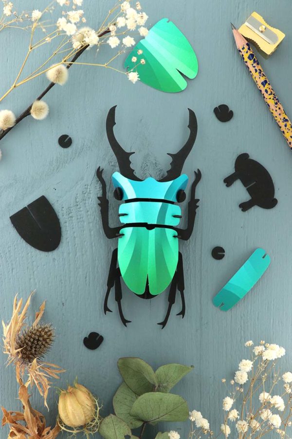 Assembli 3d paper insect stag beetle green