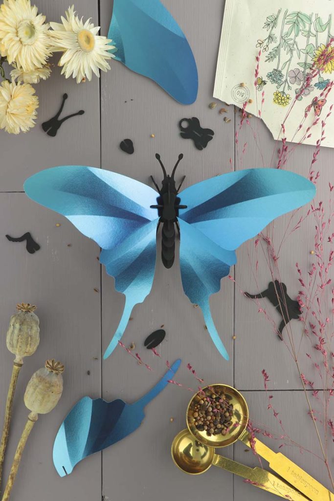 Assembli 3d paper insect swordtail butterfly blue