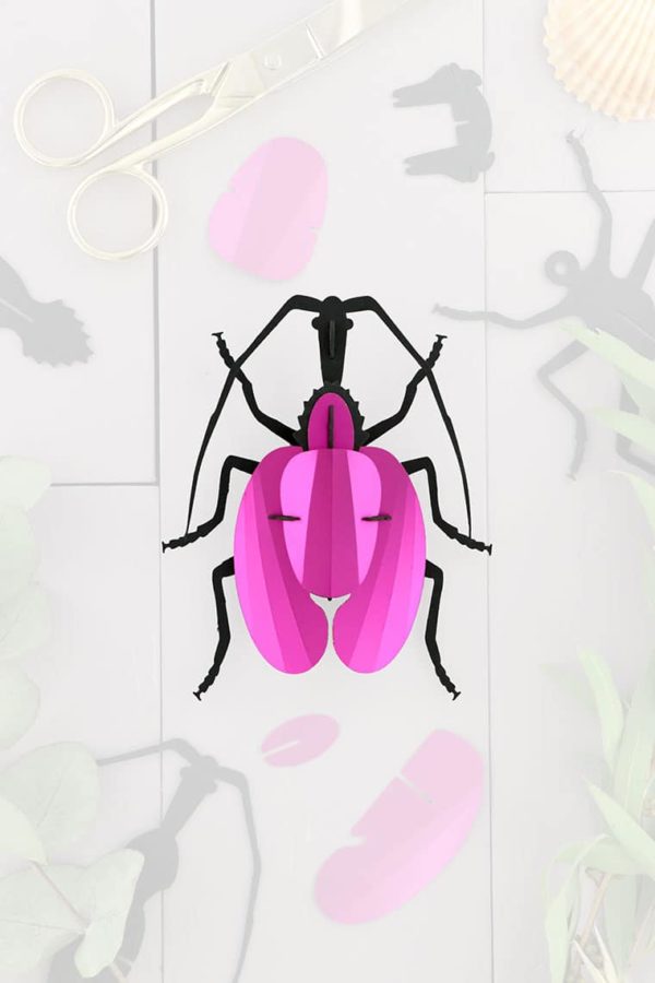 Assembli 3D Paper Violin Beetle Insect Pink