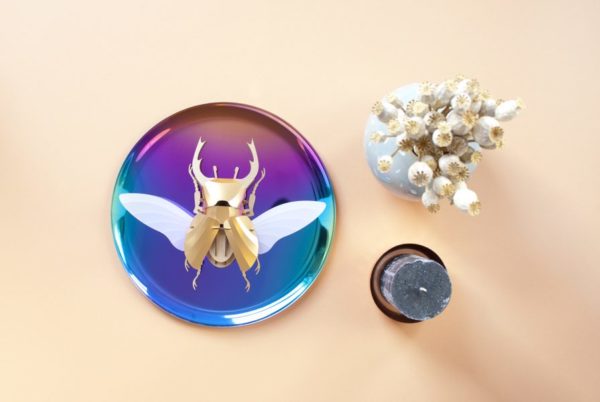 Assembli 3D Paper Stag Beetle Insect