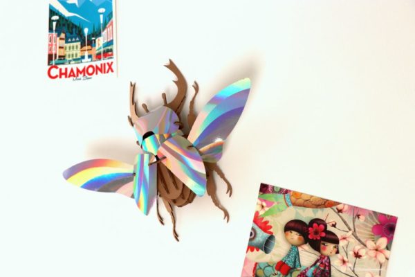 Assembli 3D Paper Stag Beetle Insect