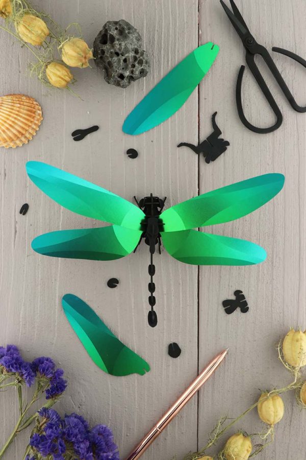 Assembli 3d paper insect dragonfly green