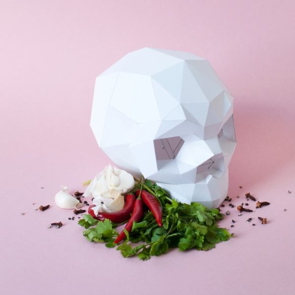 Assembli 3D Paper Sapiens Skull