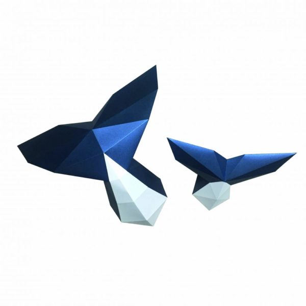 Assembli 3D Paper Whale Tail