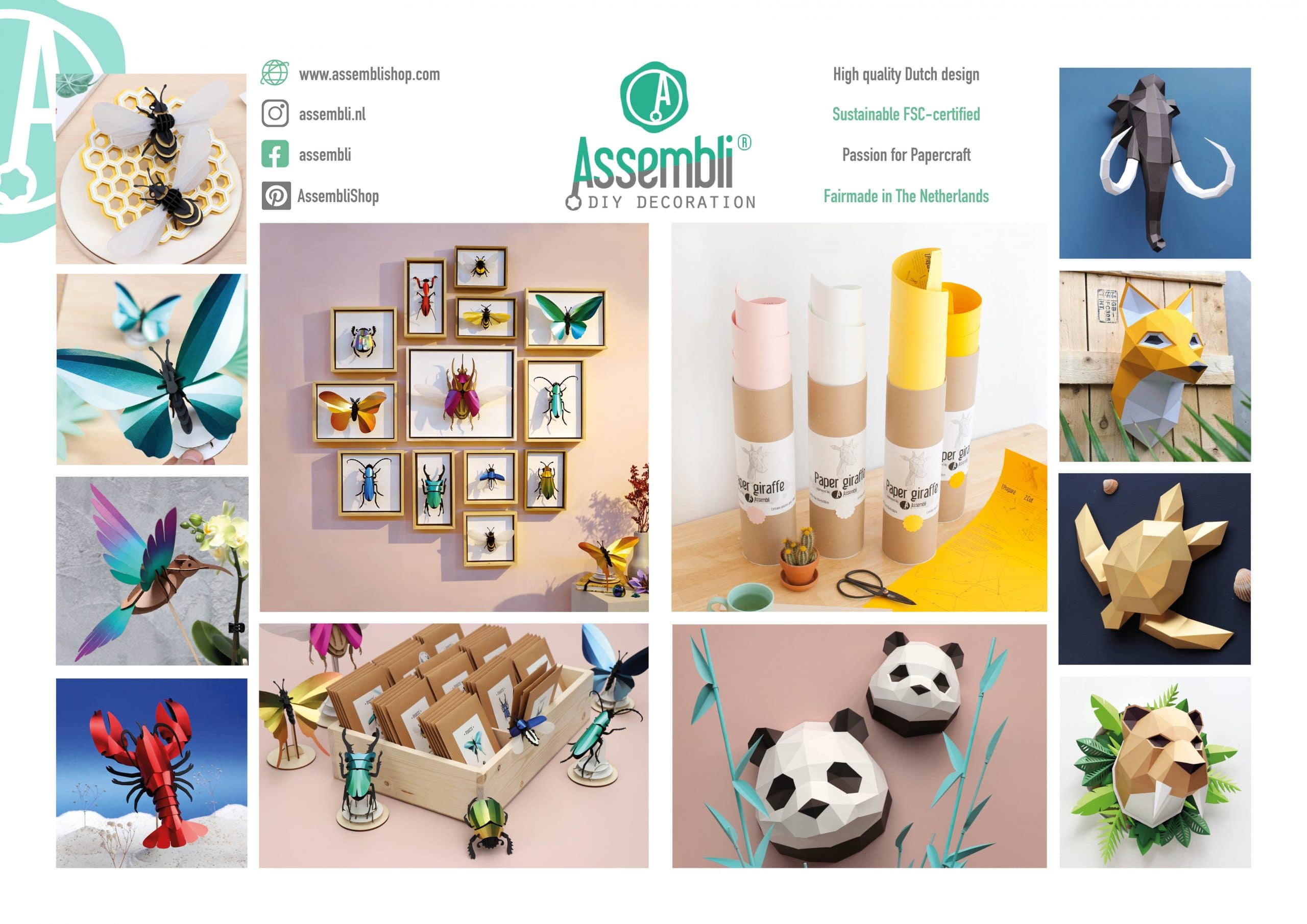 Assembli Product Overview