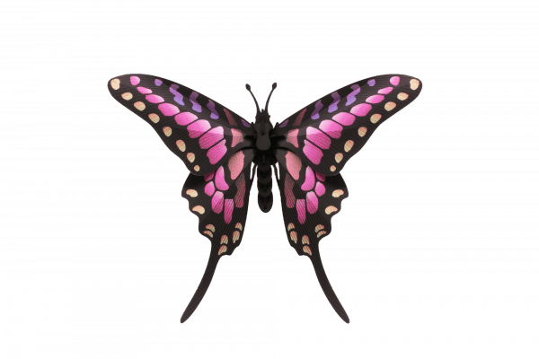Assembli 3D Paper Common Swordtail Butterfly